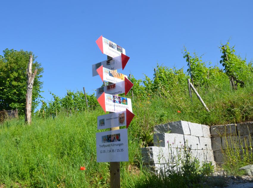 Wegweiser Wegweiser